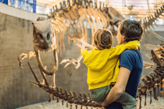 Adult holding a child in front of a dinosaur skeleton exhibit in a museum.