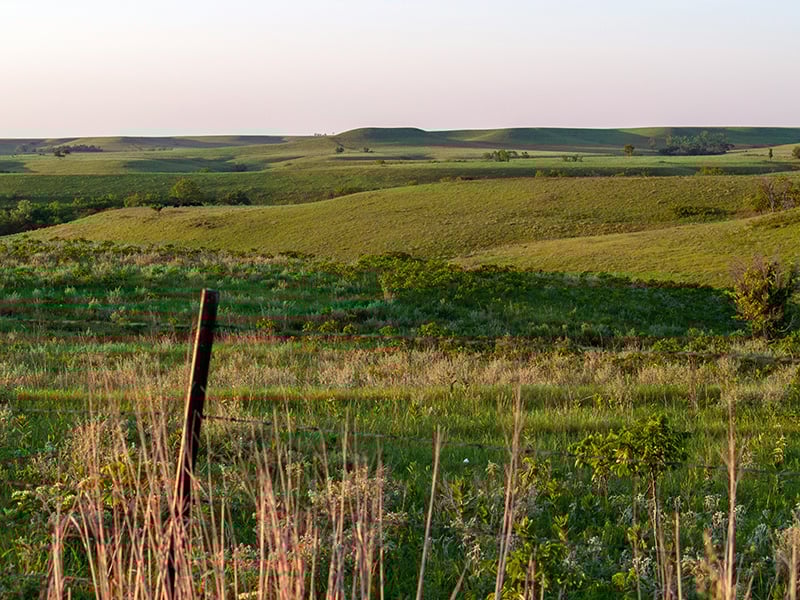 Rolling green hills near Crescent, Oklahoma in the Cimarron National Grassland, showcasing the area’s wide-open natural beauty.