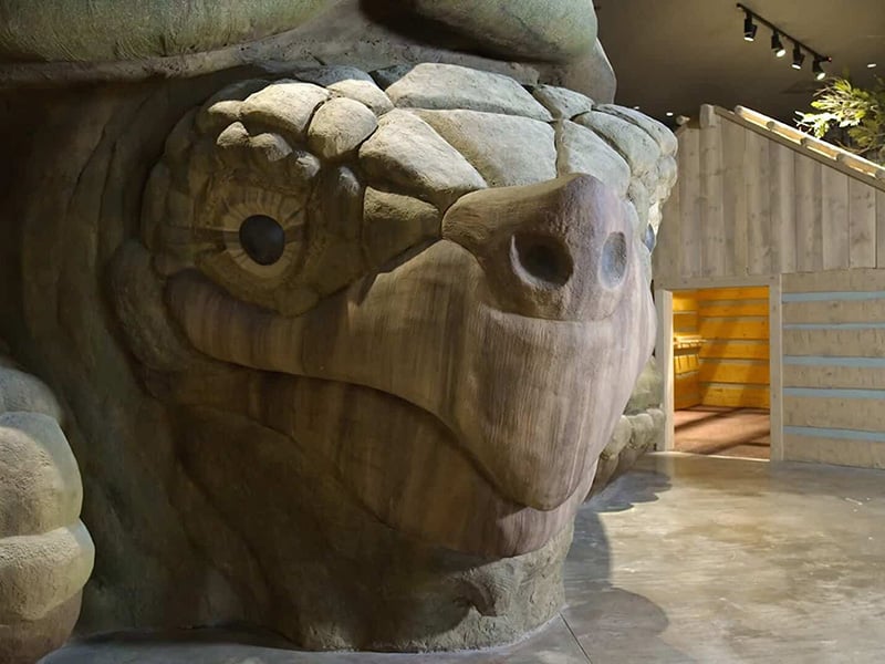 large interactive turtle exhibit at luksi activity center for kids