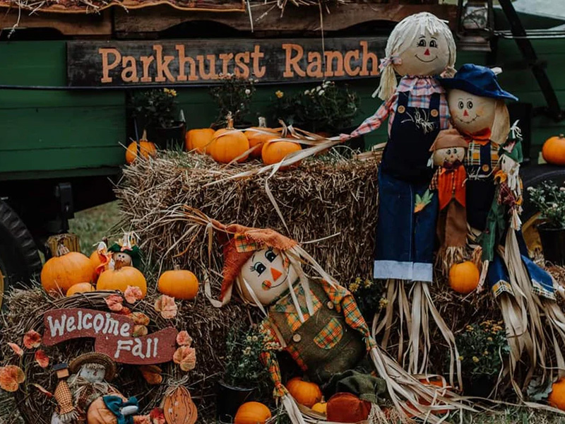 Pumpkins, hay bales, and cheerful scarecrows arranged under a rustic “Welcome Fall” sign.
